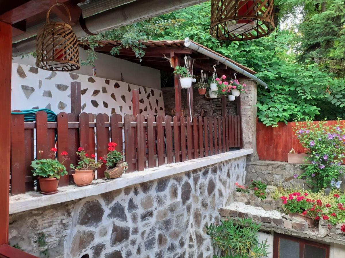 Gloria Apartments Sighisoara Ngoại thất bức ảnh