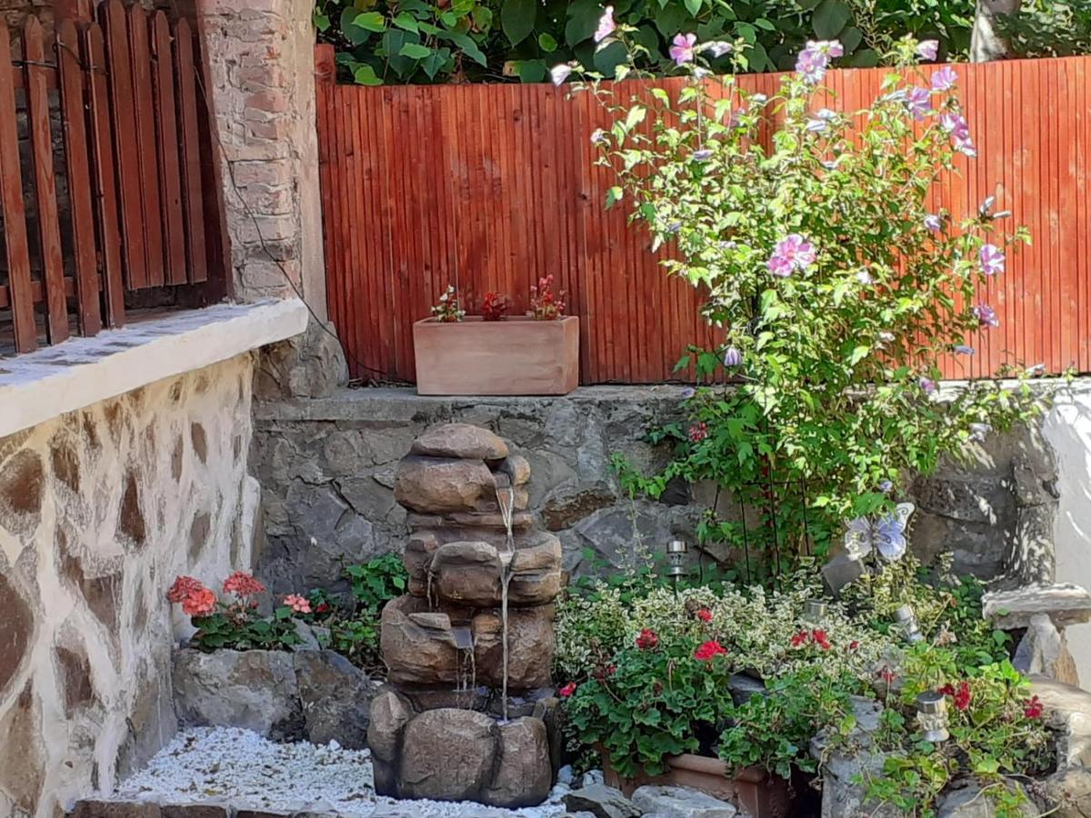 Gloria Apartments Sighisoara Ngoại thất bức ảnh