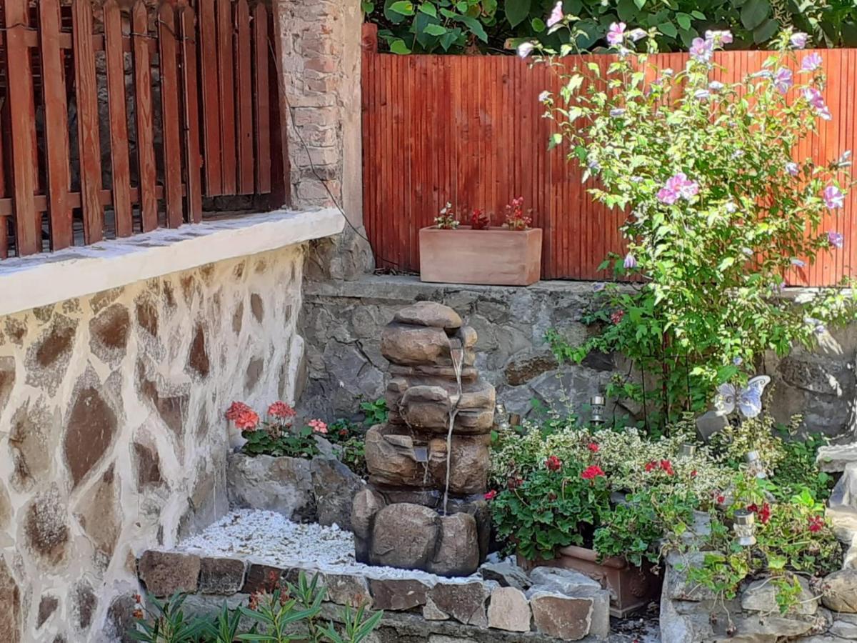 Gloria Apartments Sighisoara Ngoại thất bức ảnh