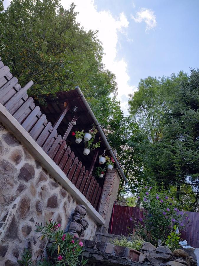 Gloria Apartments Sighisoara Ngoại thất bức ảnh